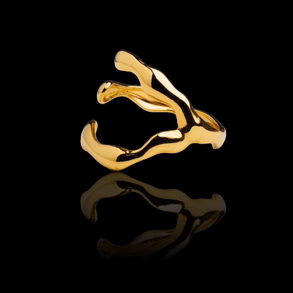 Vertex Ring